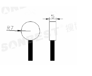 LST2-12, ʽ,PT100,¶, 